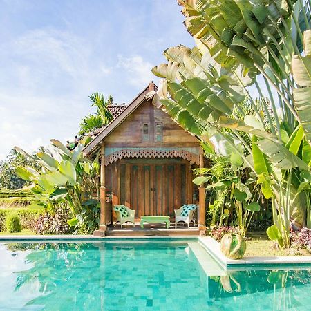 ฮาติ ปาดี คอตเทจ Bed & Breakfast อูบุด ภายนอก รูปภาพ