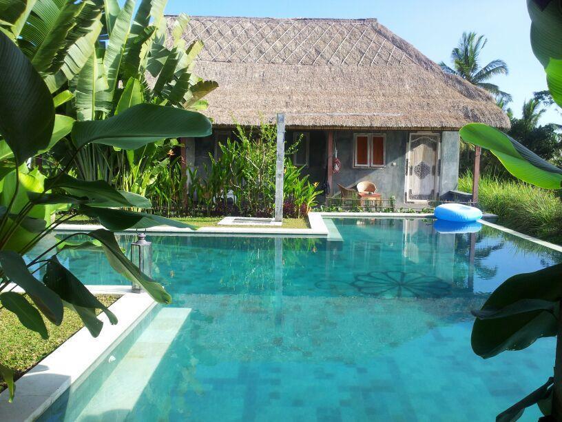 ฮาติ ปาดี คอตเทจ Bed & Breakfast อูบุด ภายนอก รูปภาพ