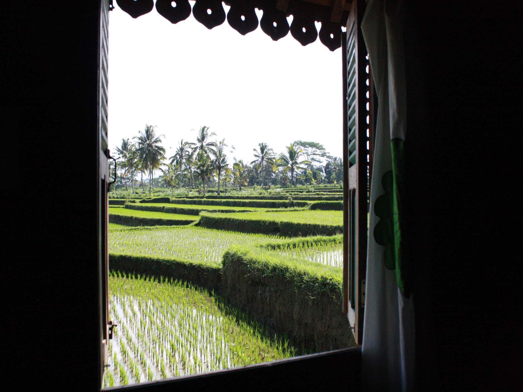 ฮาติ ปาดี คอตเทจ Bed & Breakfast อูบุด ภายนอก รูปภาพ