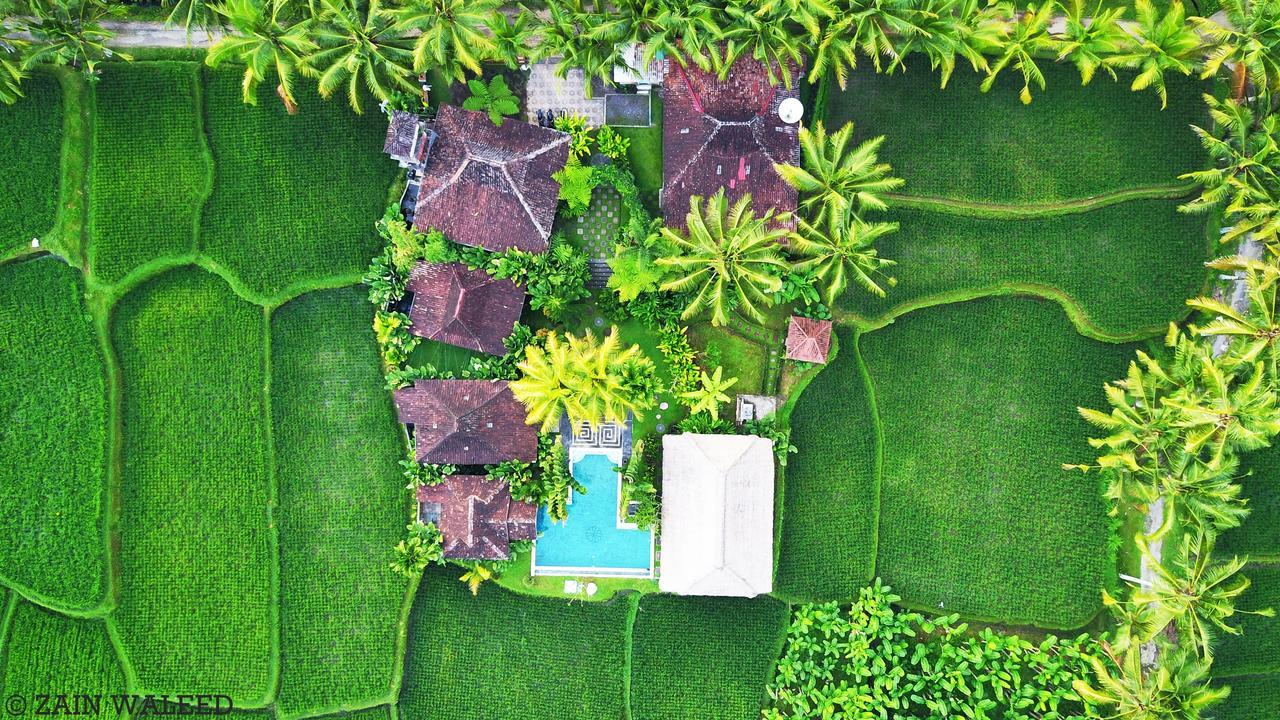 ฮาติ ปาดี คอตเทจ Bed & Breakfast อูบุด ภายนอก รูปภาพ