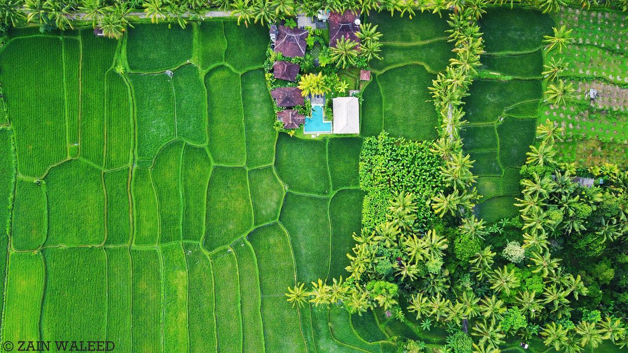 ฮาติ ปาดี คอตเทจ Bed & Breakfast อูบุด ภายนอก รูปภาพ