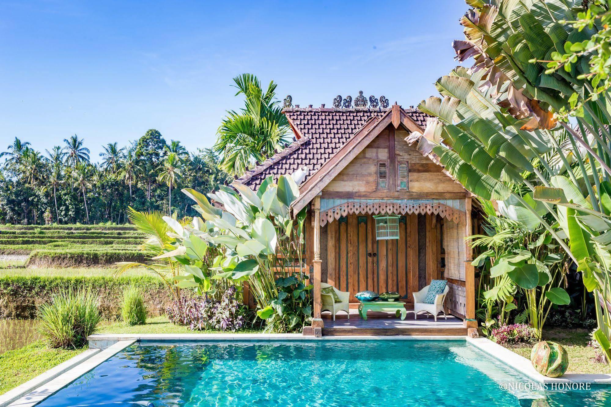 ฮาติ ปาดี คอตเทจ Bed & Breakfast อูบุด ภายนอก รูปภาพ