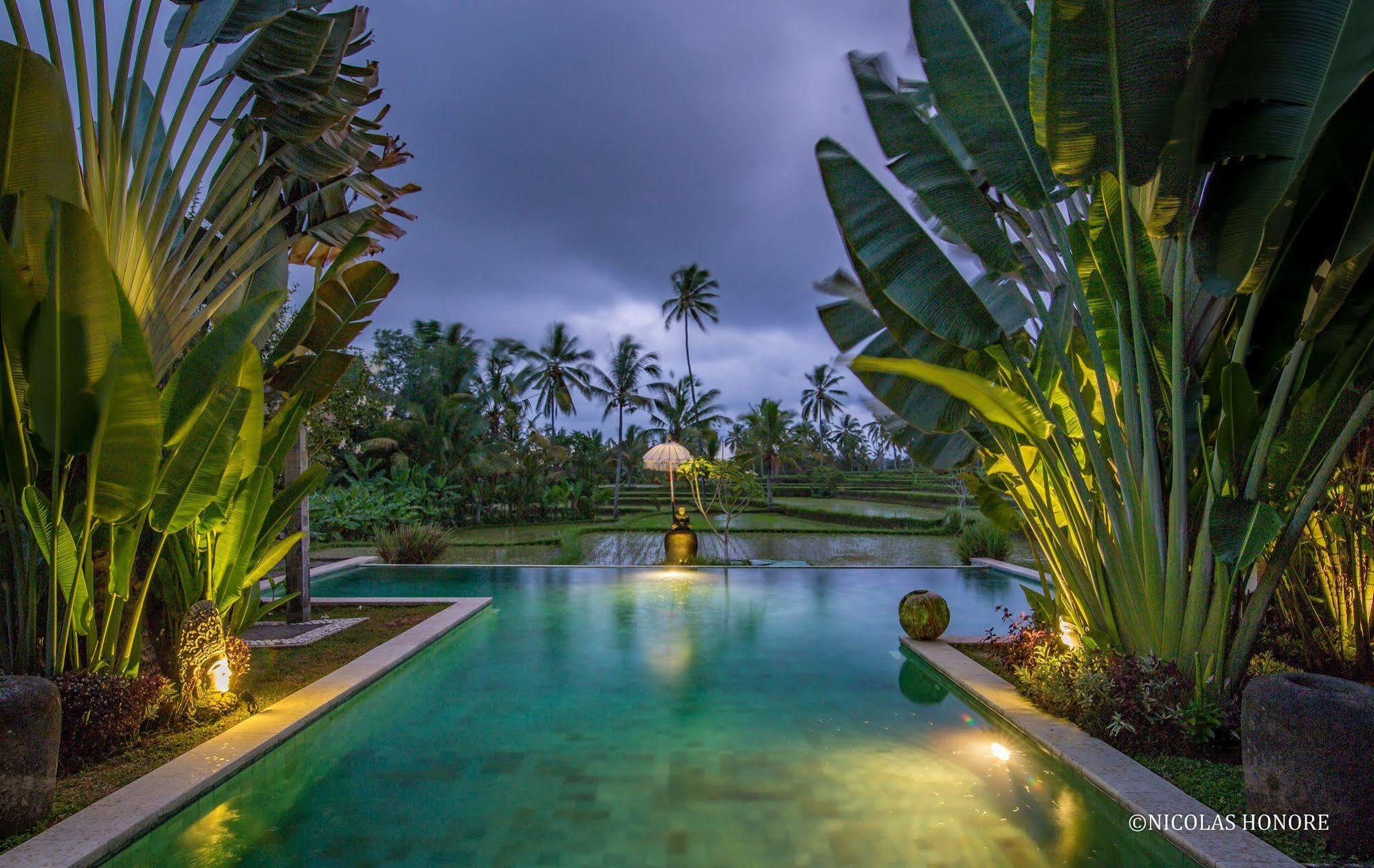 ฮาติ ปาดี คอตเทจ Bed & Breakfast อูบุด ภายนอก รูปภาพ