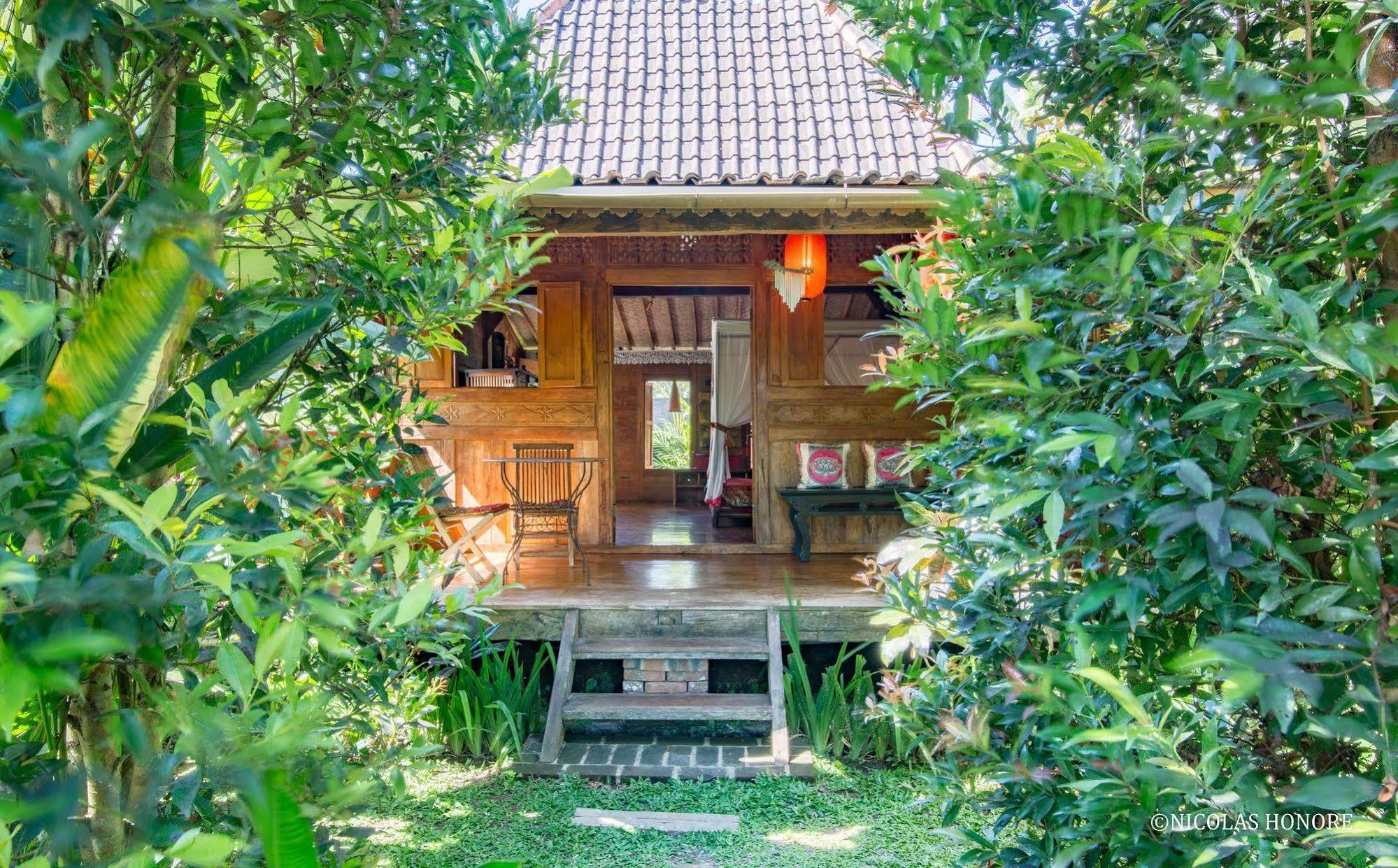 ฮาติ ปาดี คอตเทจ Bed & Breakfast อูบุด ภายนอก รูปภาพ