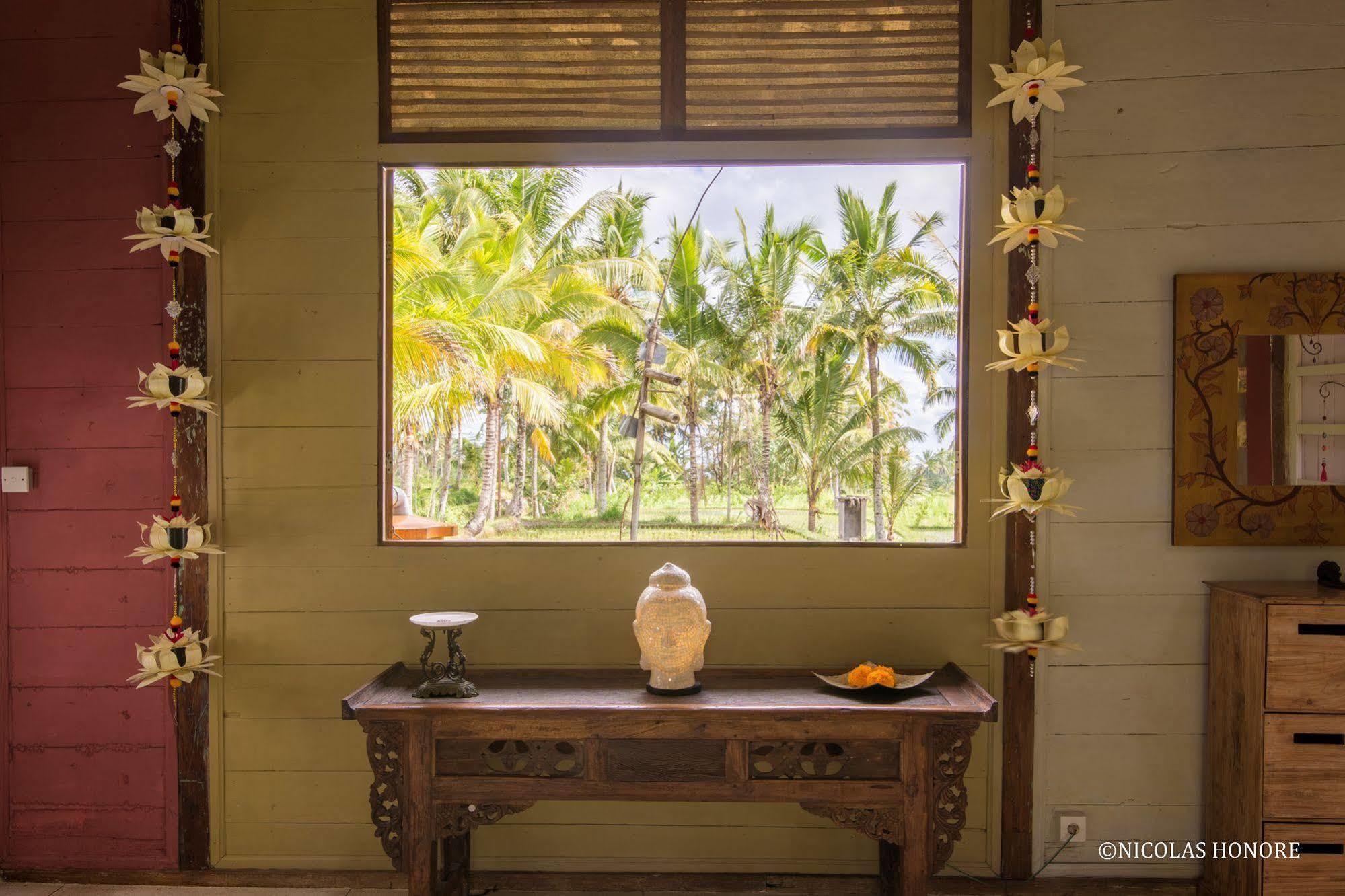 ฮาติ ปาดี คอตเทจ Bed & Breakfast อูบุด ภายนอก รูปภาพ