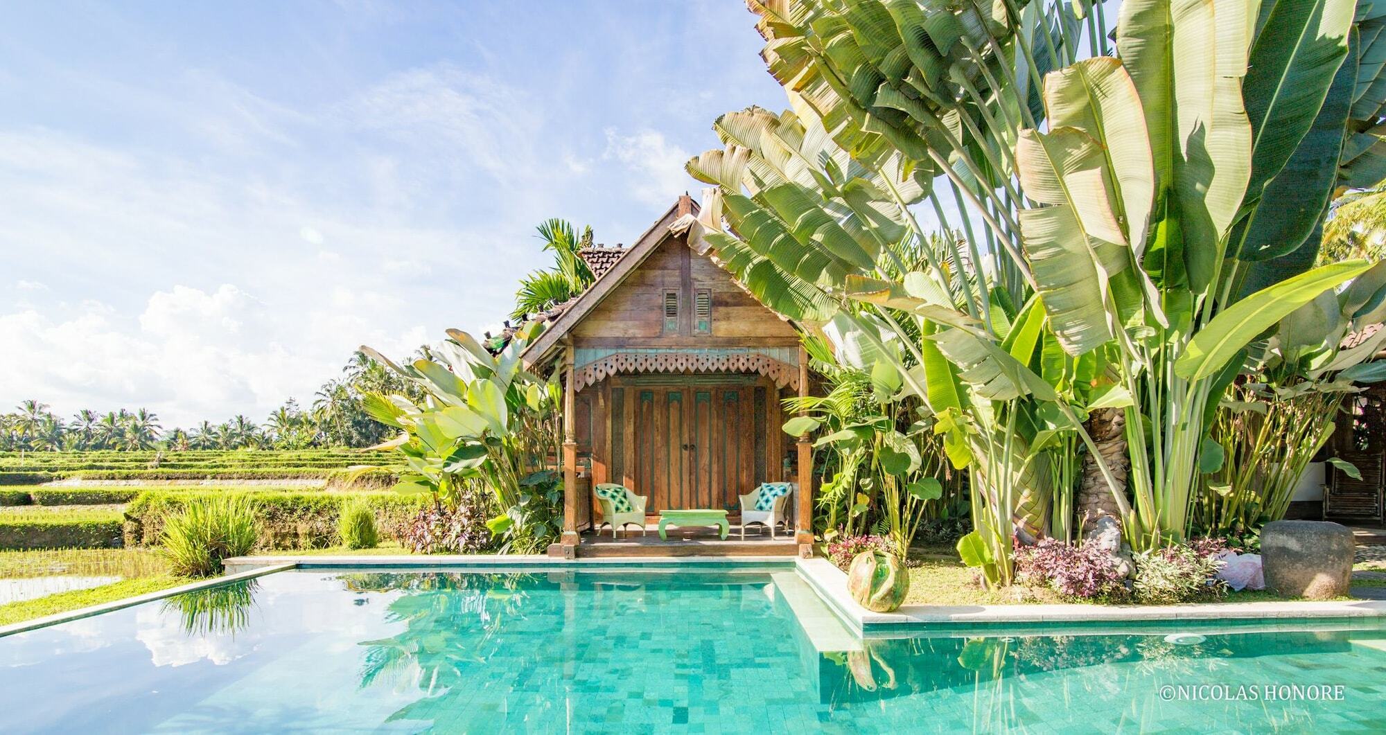 ฮาติ ปาดี คอตเทจ Bed & Breakfast อูบุด ภายนอก รูปภาพ